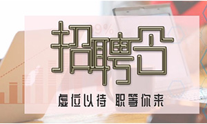 服务商户，，，，，，，，致力发展&mdash;安徽分公司岳阳滨湖店携手优质商户人才招聘会 
